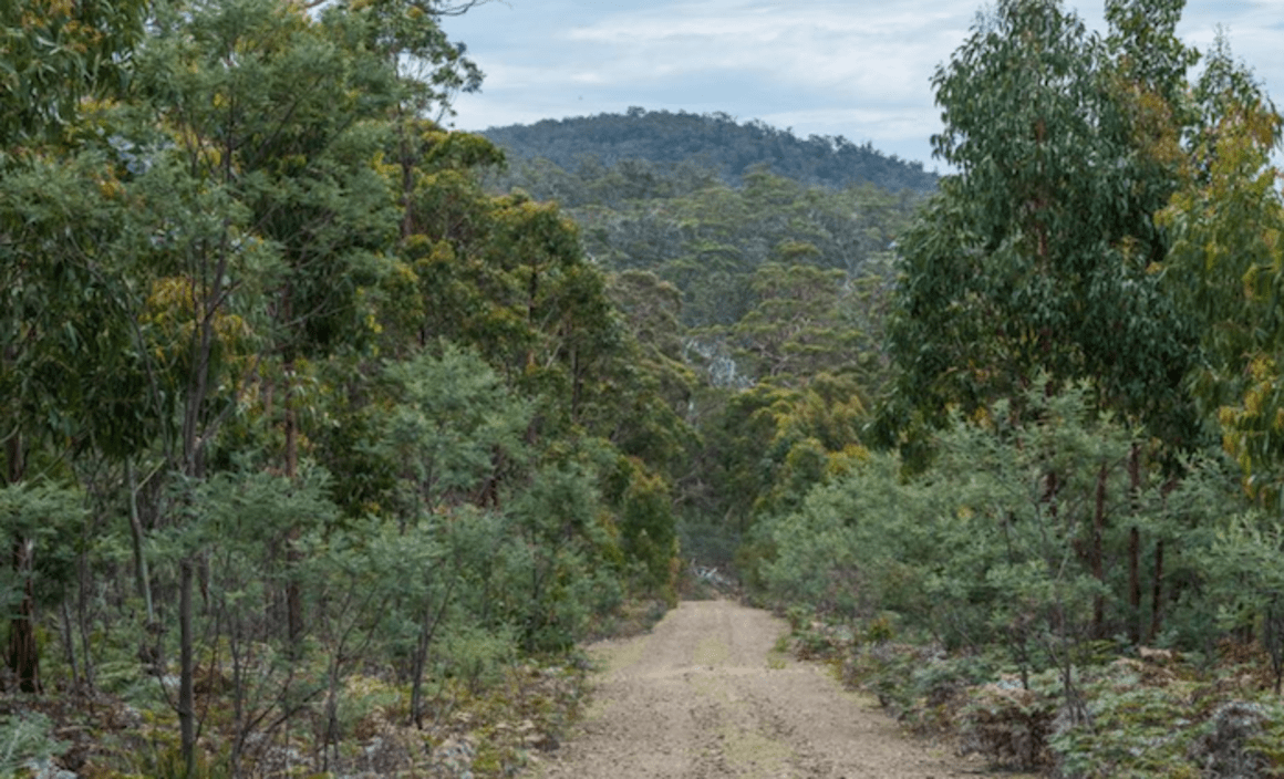 Conservation lots in Nubeena, Tasmania listed