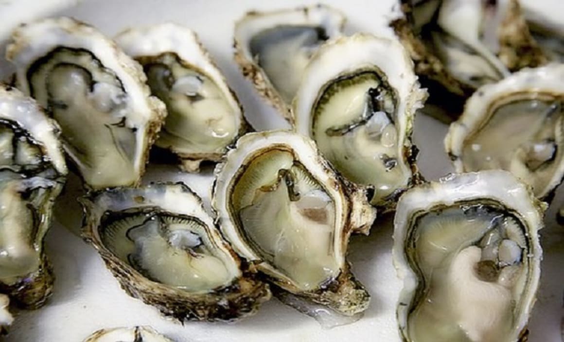 Ah shucks, how bushfires can harm and even kill our delicious oysters