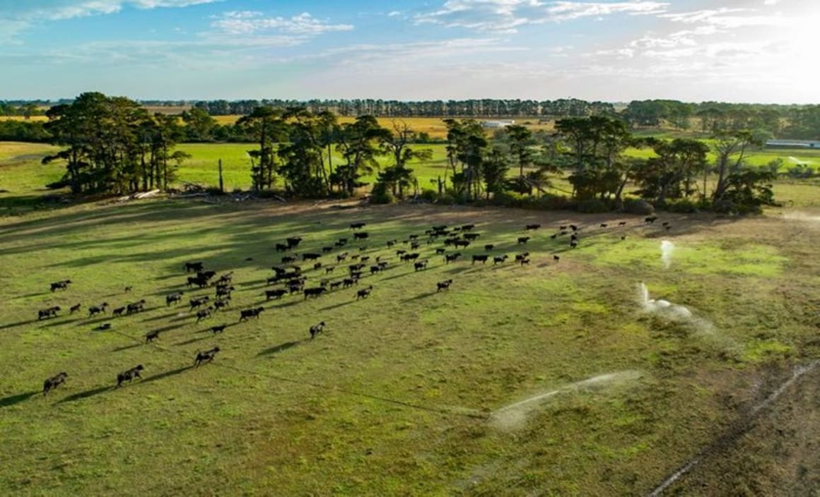 Gippsland's 568 hectare farm Paringa sold