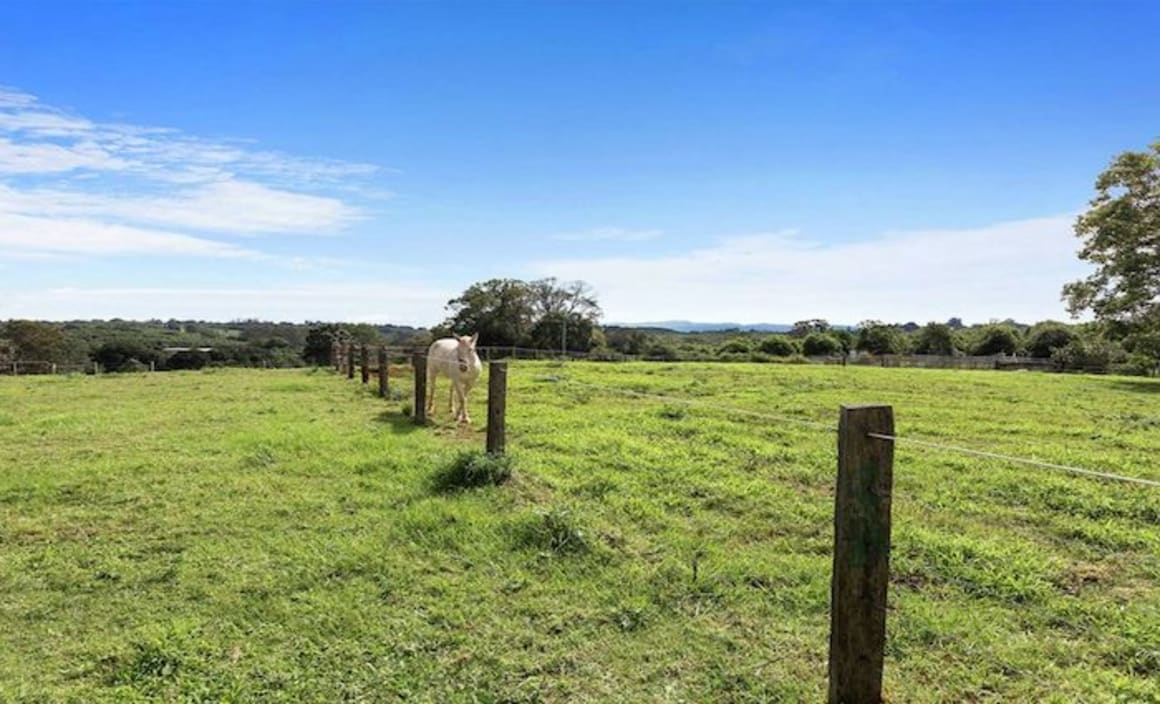 Limited spring 2016 rural sales activity in South West Victoria: HTW