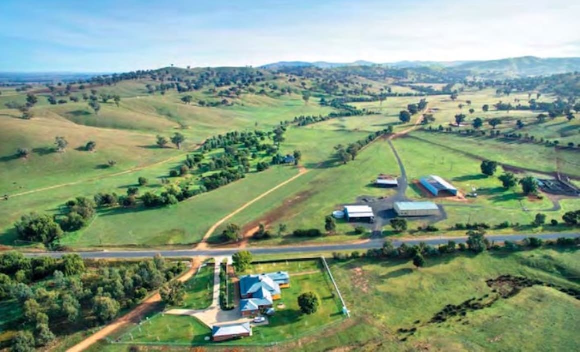 Gundagai beef cattle holding, Abingdon Station, listed for sale