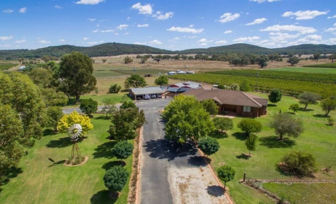 Northnife, Mudgee vineyard remains for sale