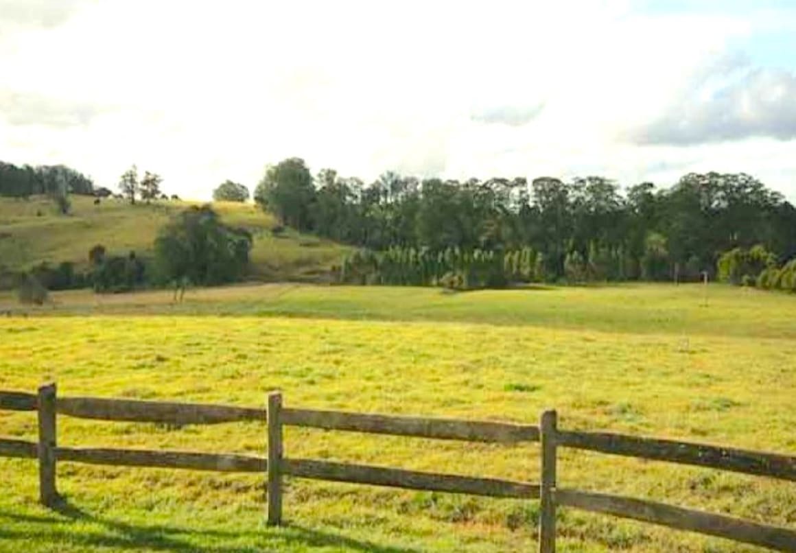 Mark Burrows lists Widgee Waa at East Kangaloon