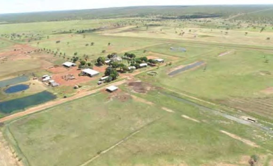 NT's Bunda Station sells to Consolidated Pastoral Company