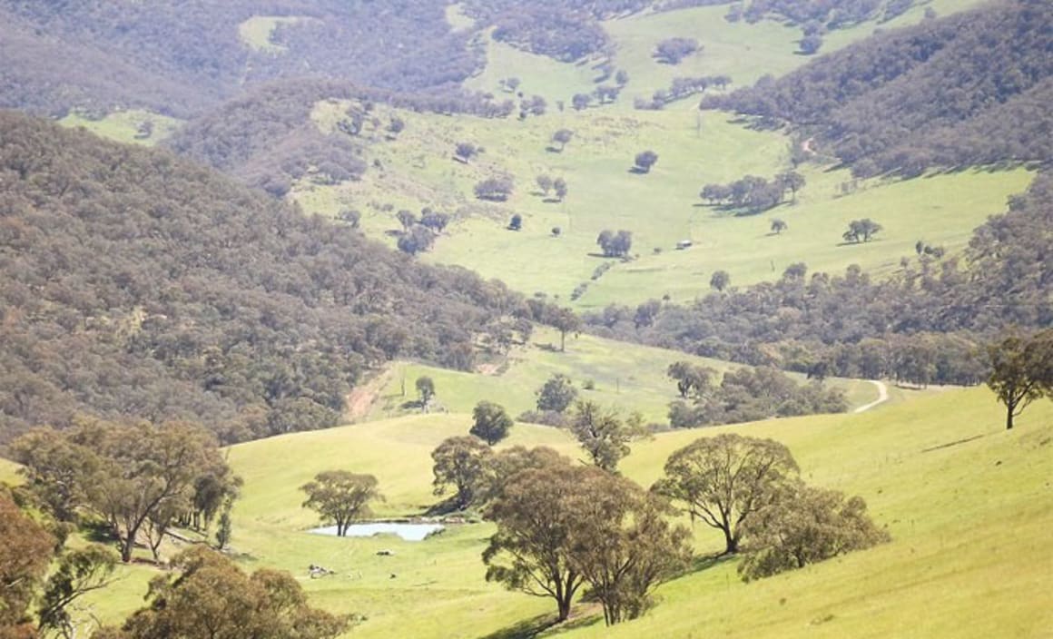 Deddick Springs, Tom Ventry's Cabanandra Campdraft cattle property for sale 