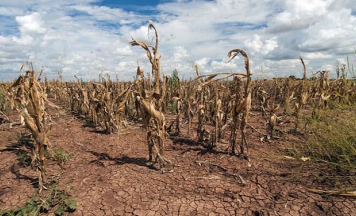 How climate change could affect the economy and monetary policy: RBA's Guy Debelle