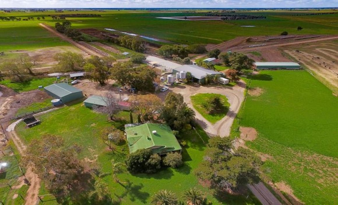 Echuca and Deniliquin rural markets remains steady: HTW rural