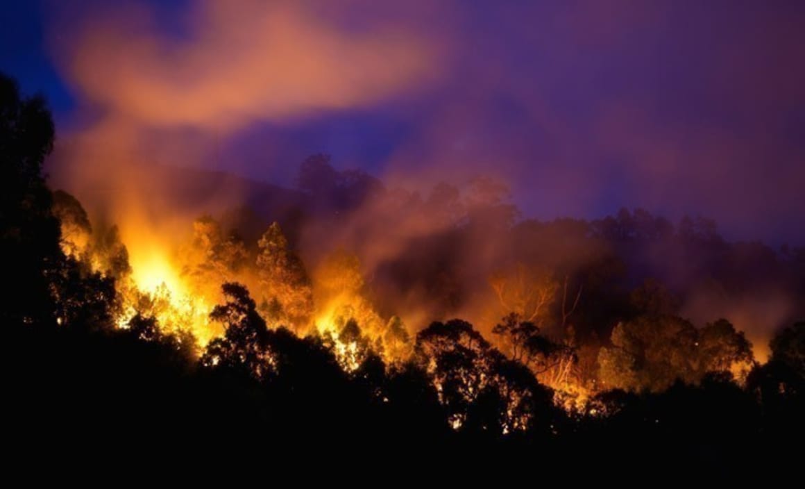 12 months since the last bushfire season, don't expect the same this year