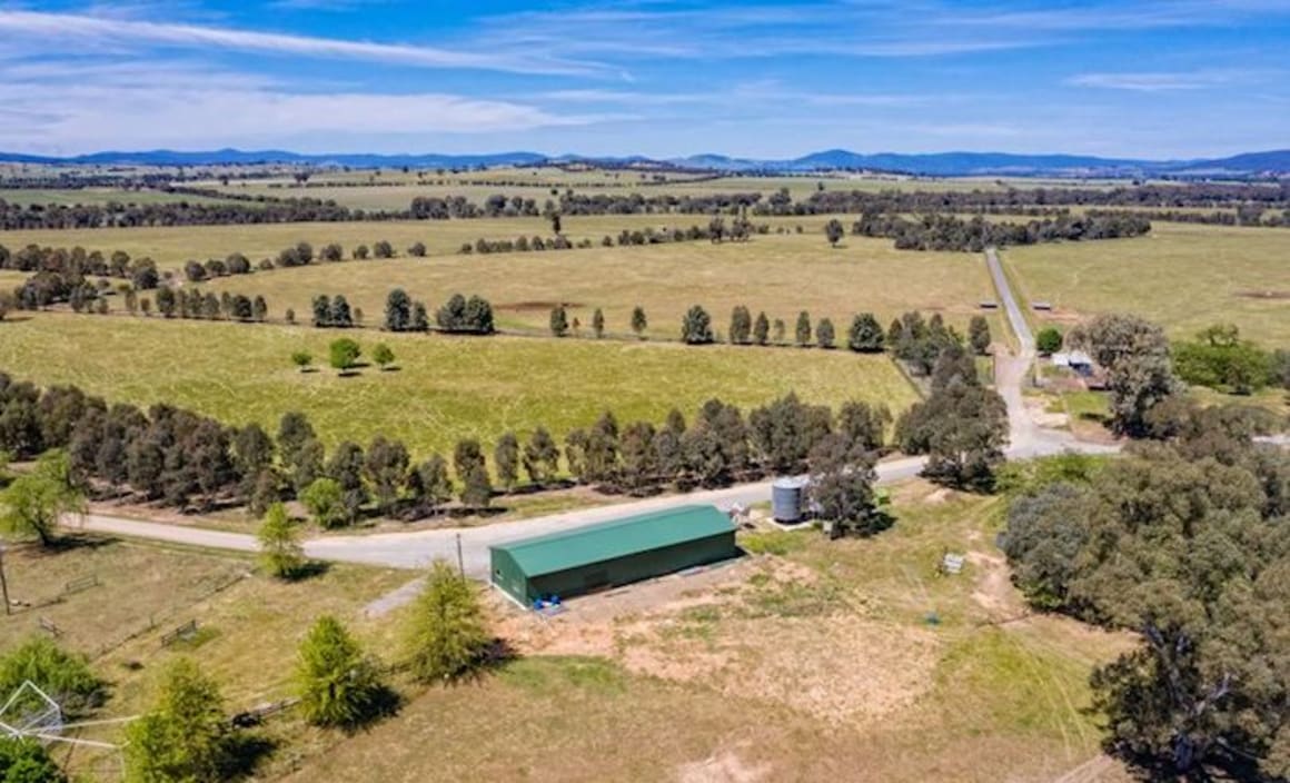 Drought impact on Central and Southern NSW property market has been limited: HTW rural