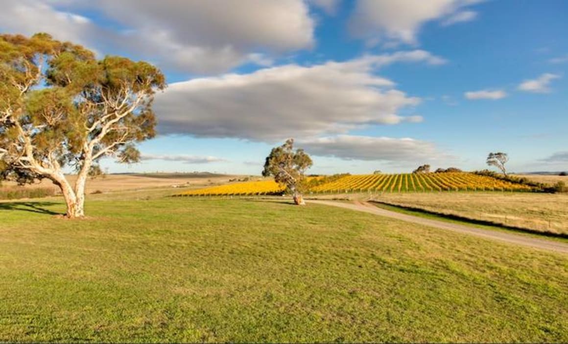 Goulburn winery listed for $2.2 million