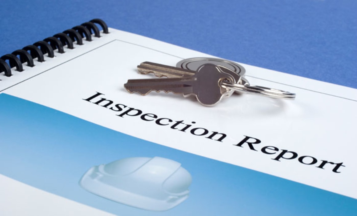 Property inspection reports cheaper with a crowd