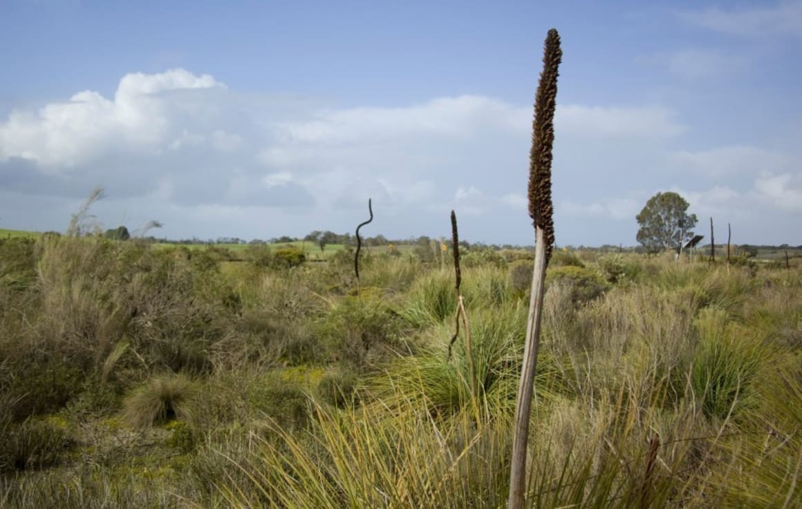 Outer Melbourne land tracking at four-year lows: Oliver Hume