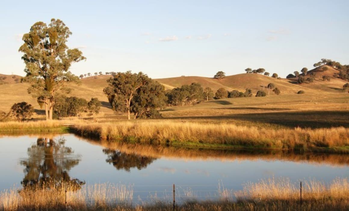 Scott Pape warns about central Victoria land banking paddock speculation