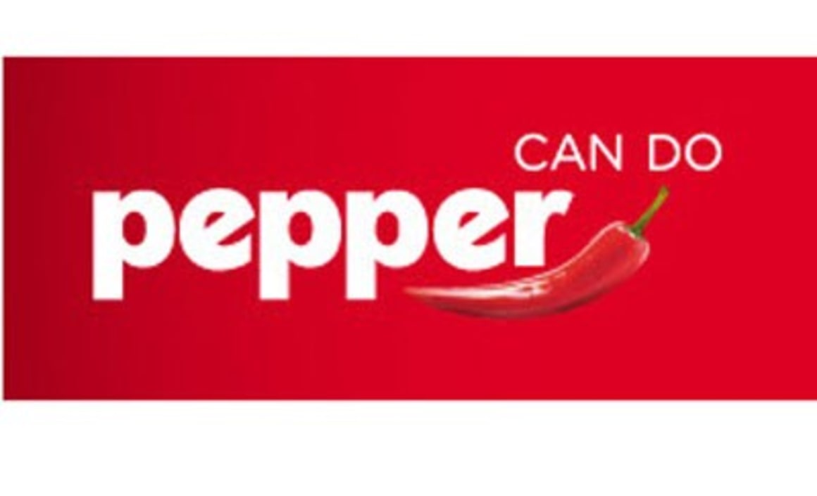 Pepper Home Loans reduces rates for nonconforming borrowers