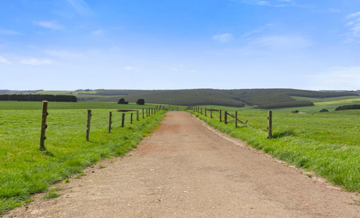 Murray Goulburn milk supplier farms at Port Campbell set for auction