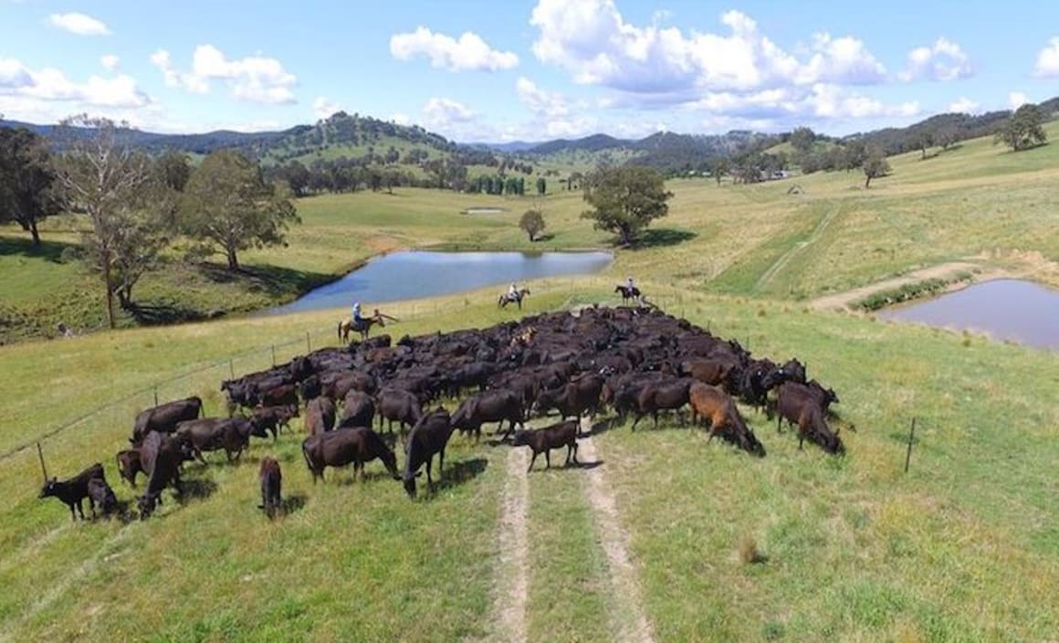 New England farm, Prestwick sold pre-auction