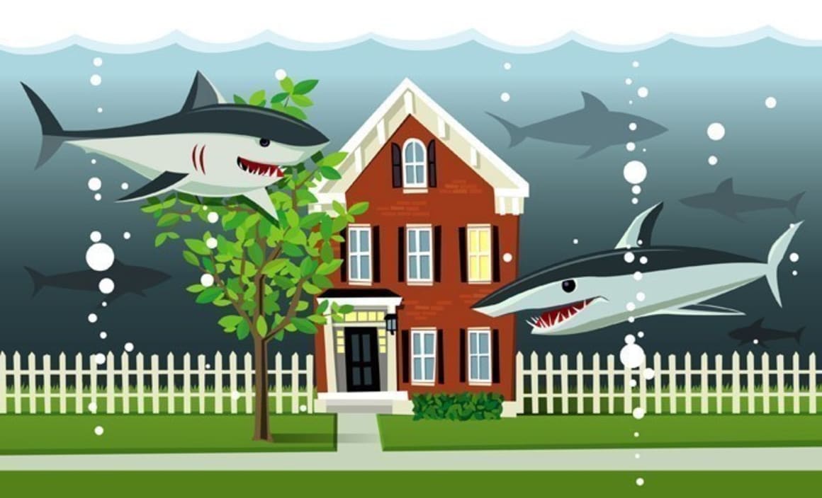 The latest property shark scheme catching buyers out: Todd Hunter