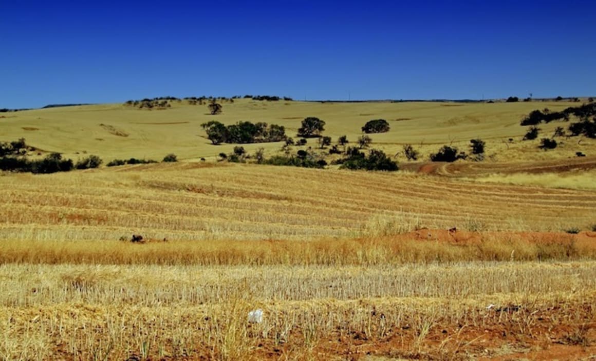 Australia urgently needs real sustainable agriculture policy