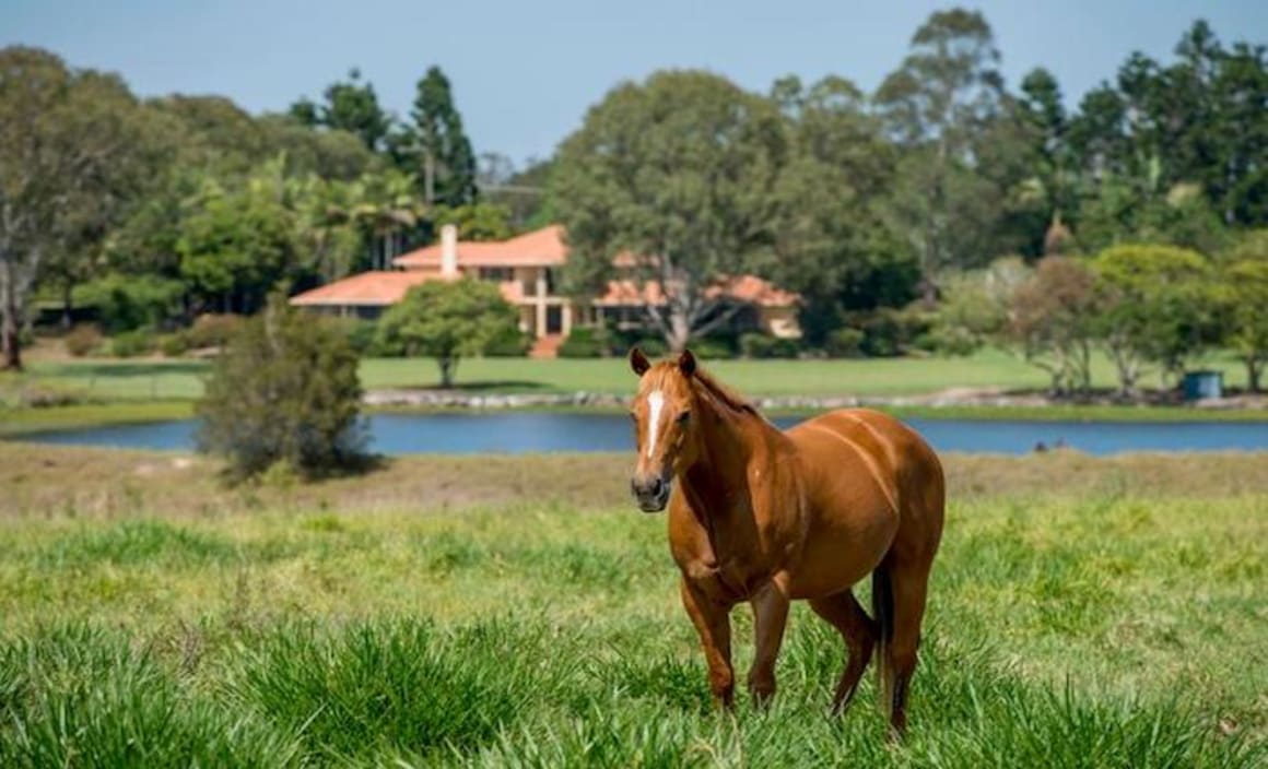 South-east Queensland horse breeding farm for sale