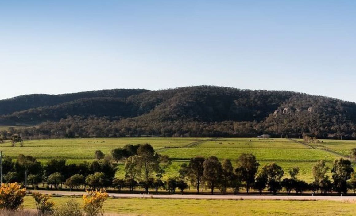 Michael King attends unsuccessful Nathan Tinkler Gold Coast stud auction