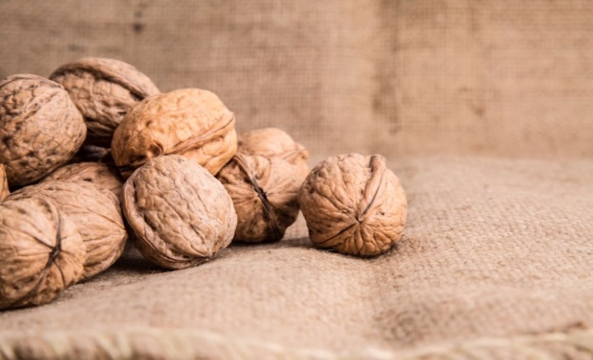 Australian walnut industry experiences growth: HTW 