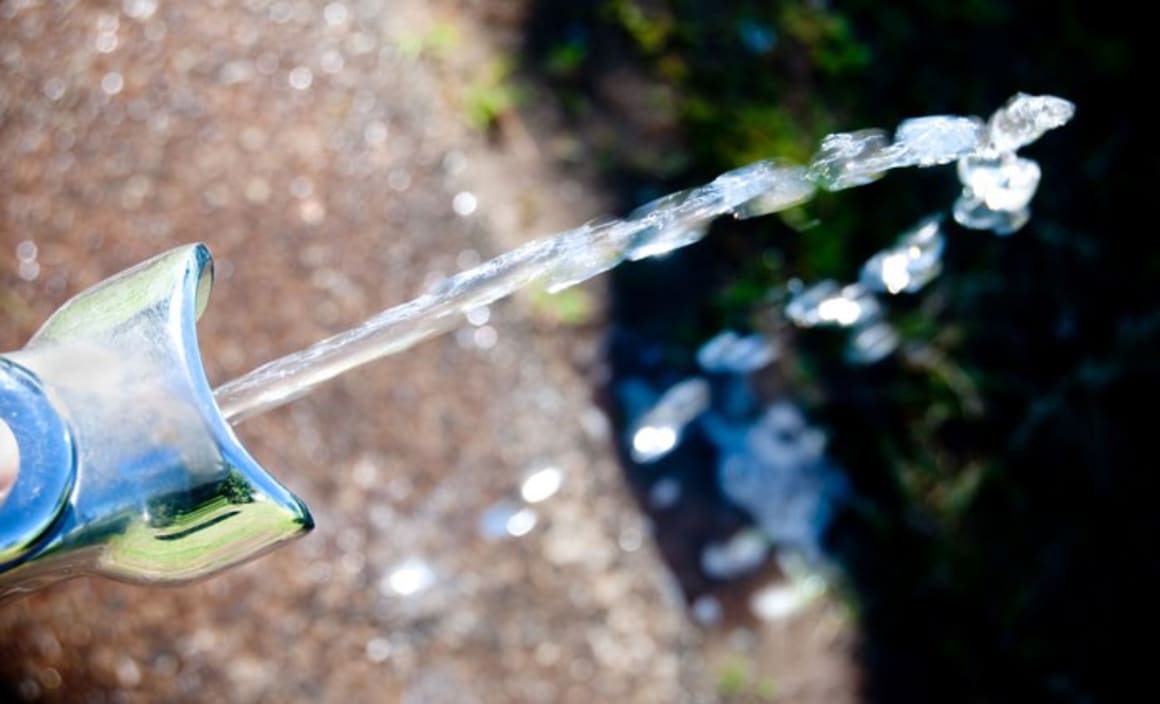 Buyers want water-wise gardens for hot and dry summers