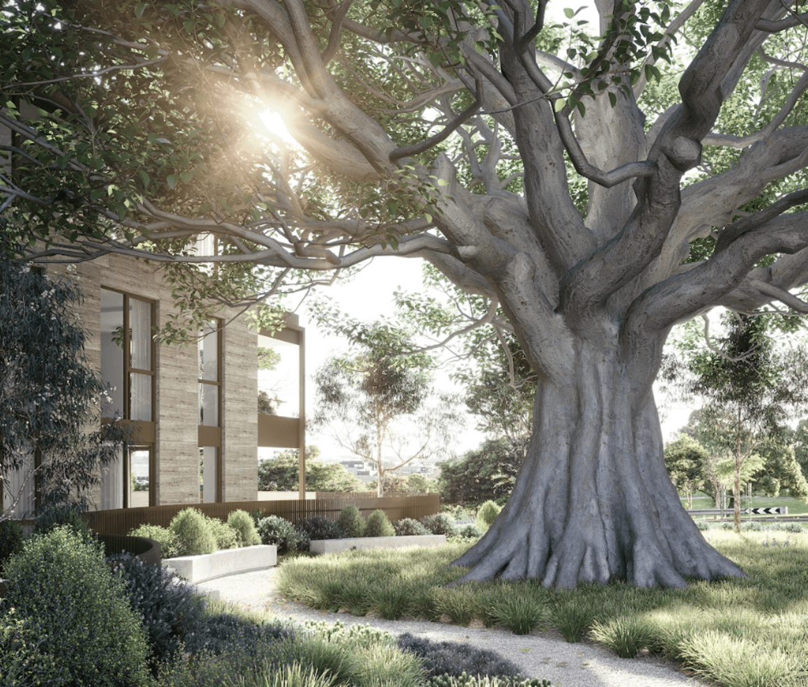 "A dynamic community immersed in nature" How Rothelowman designed MONNO's Stella Maris