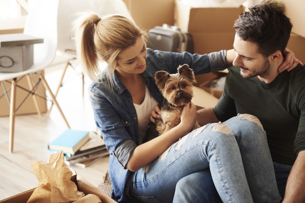 NSW Government seeks amends to pet ownership in Strata Schemes Management Act 2015