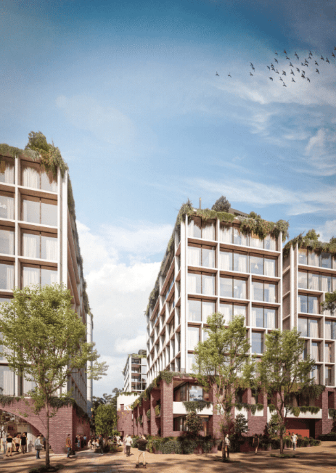 SJB win design for Billbergia's Rhodes mixed-use development
