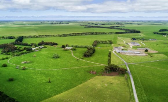 Mt Schanck sold for million plus to Thomas Foods