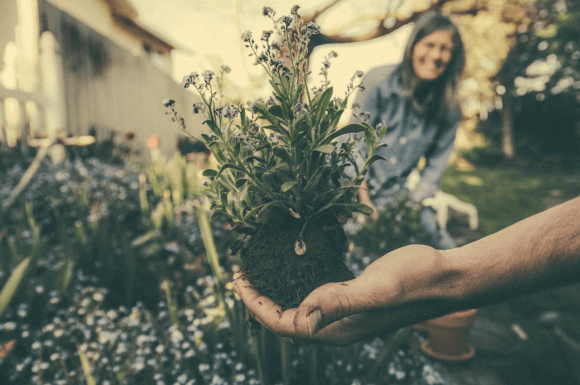 Does Landscaping Increase Property Value?