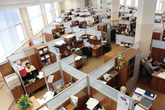 Traditional office featuring desk cubicles. Credit: David Mark Elenberg Fraser's Vicki Karavasil discusses Market Lane's biophilic design approach
