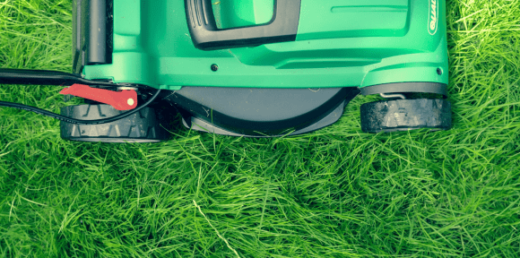Does Landscaping Increase Property Value?