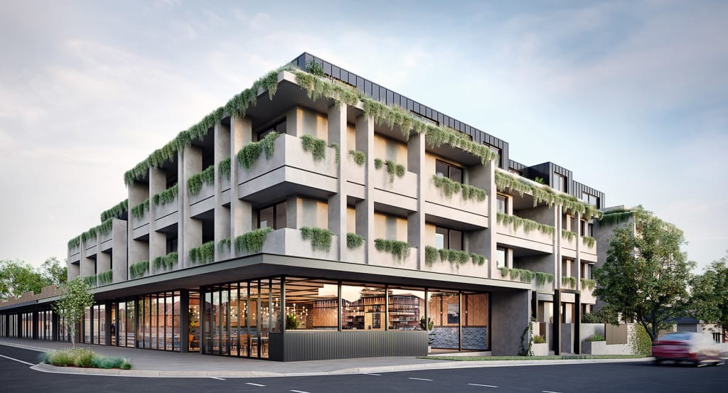 Banksia, Cheltenham