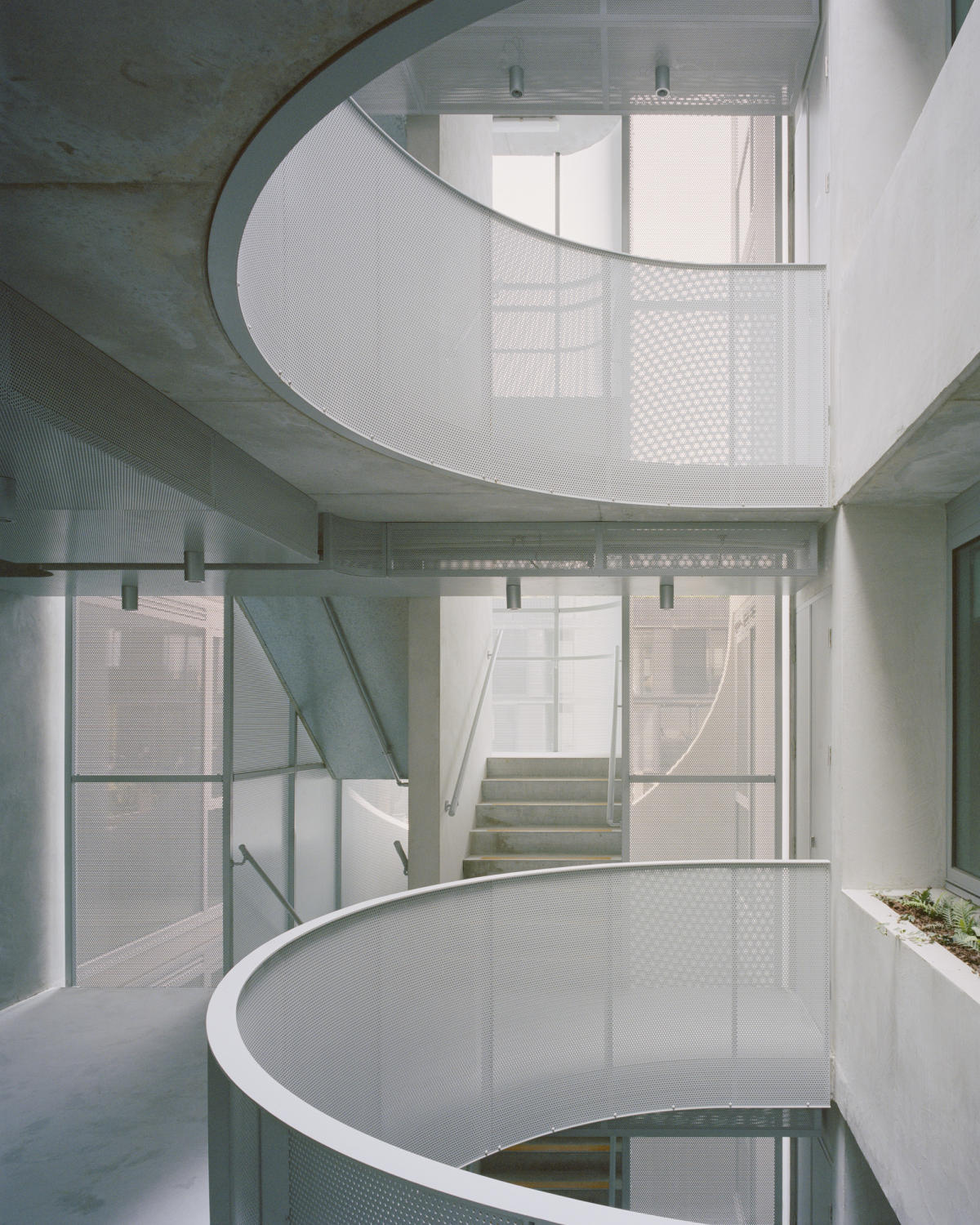 231 Napier Street, Fitzroy