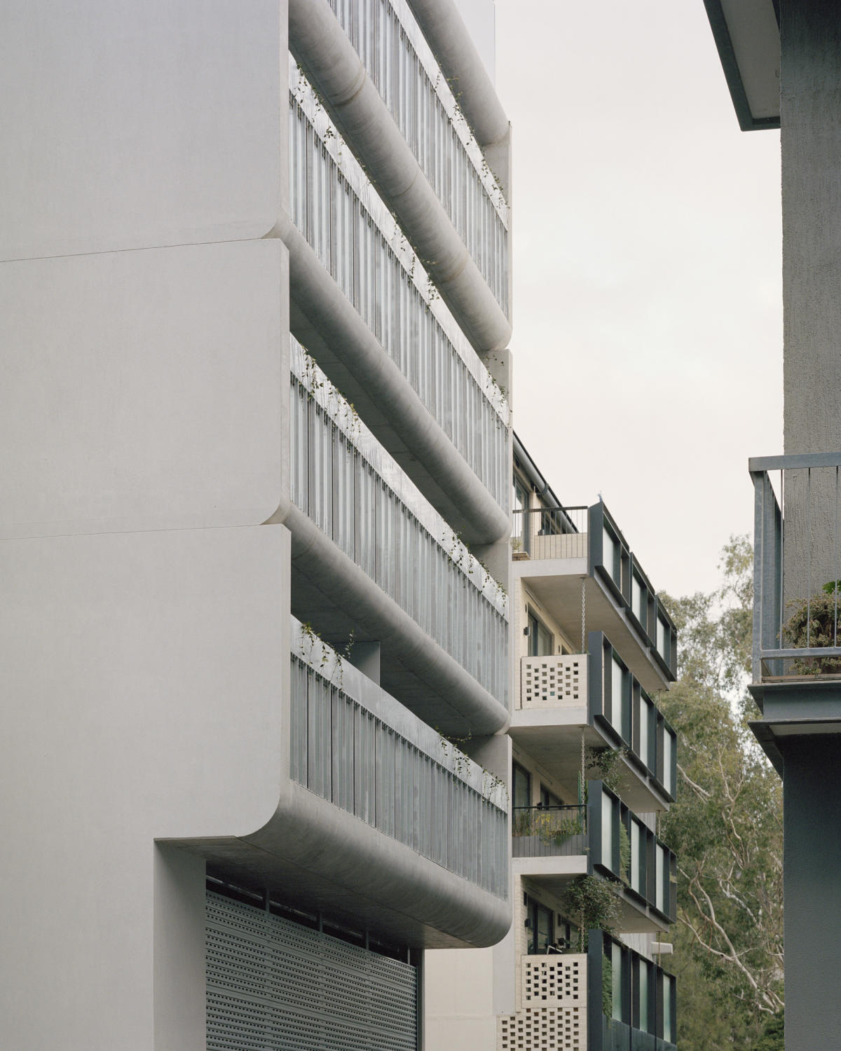 231 Napier Street, Fitzroy