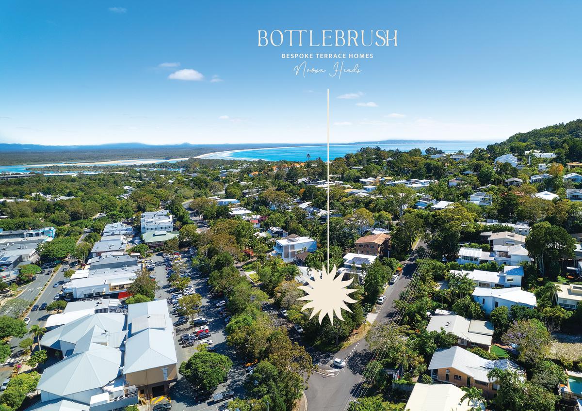 Bottlebrush, Noosa Heads