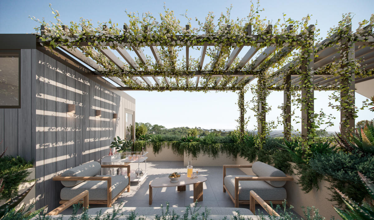 Bottlebrush, Noosa Heads