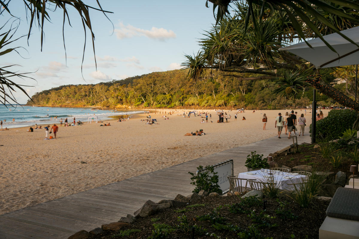 Bottlebrush, Noosa Heads