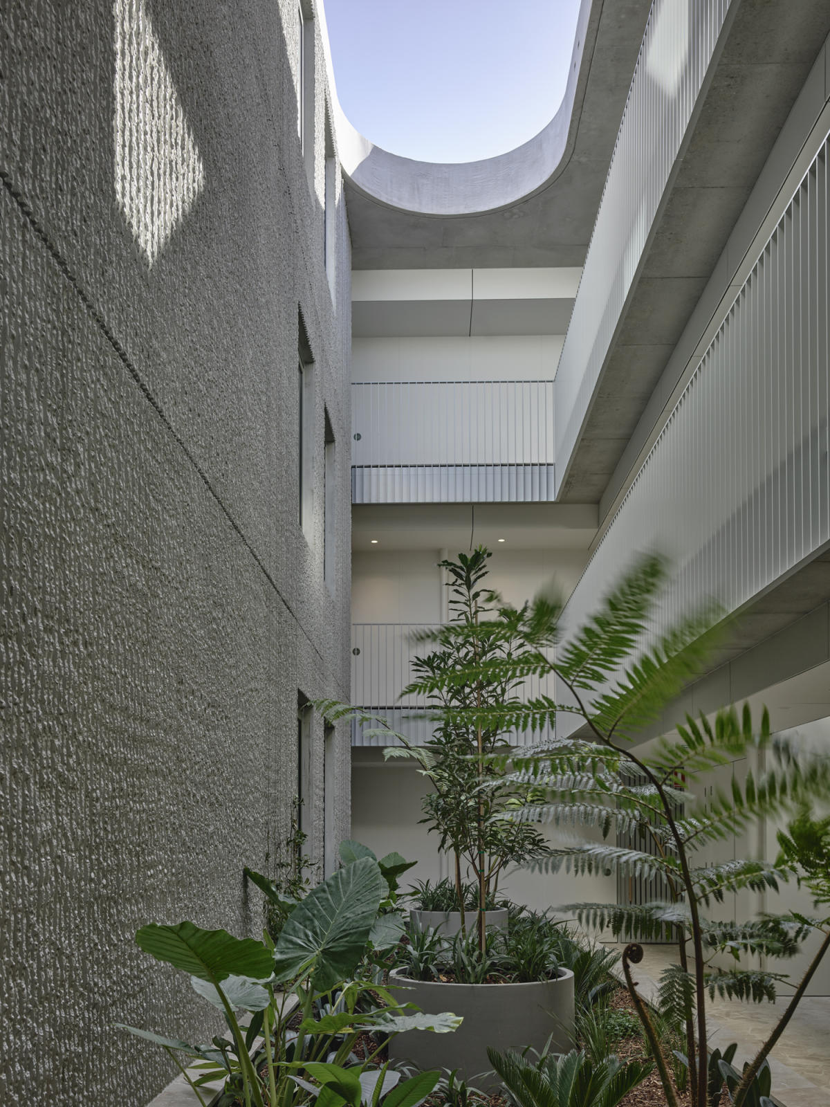 Osprey, Safety Beach