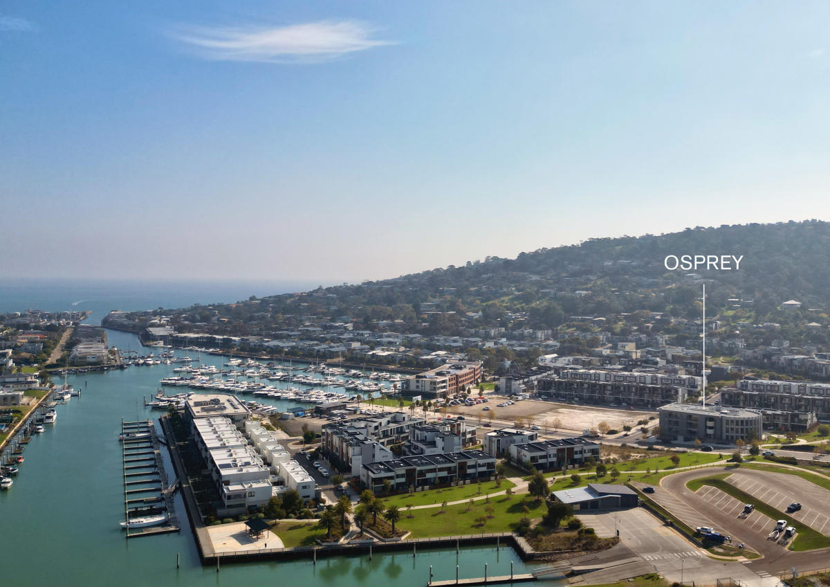 Osprey, Safety Beach