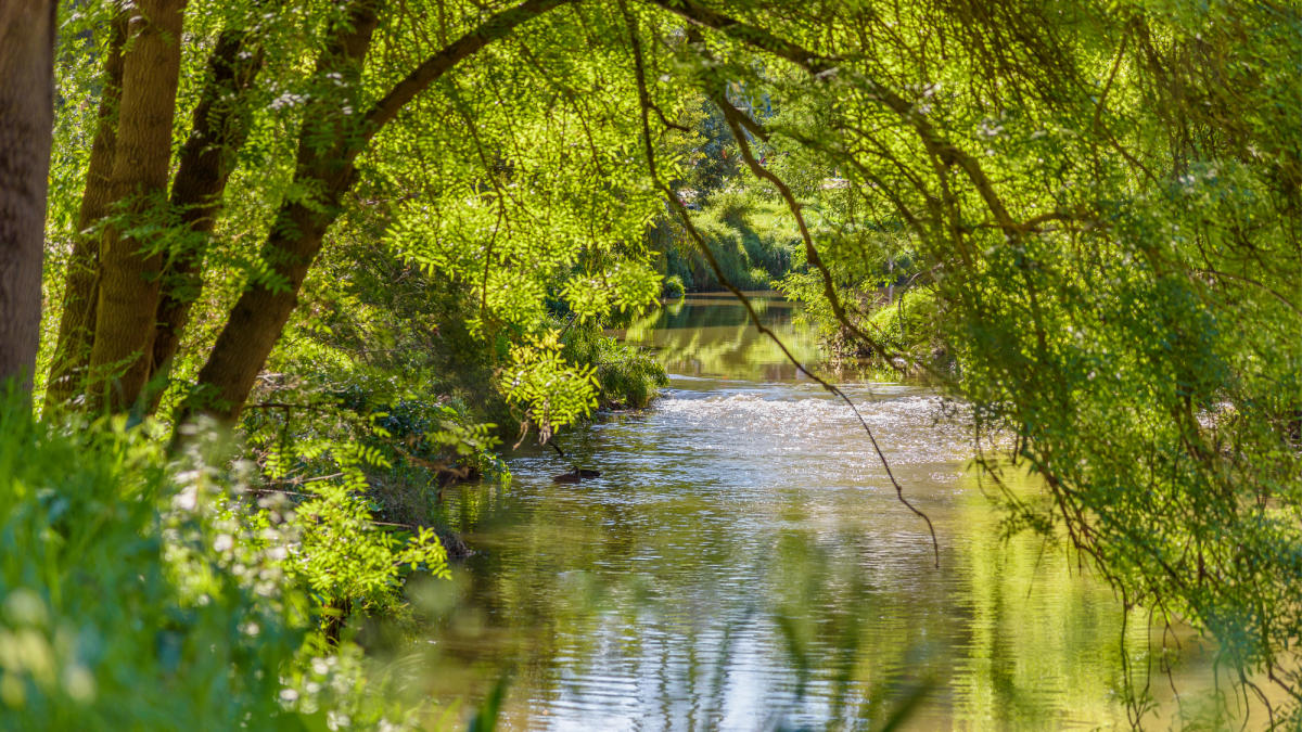 Glass Haus Preston Glass Haus Preston