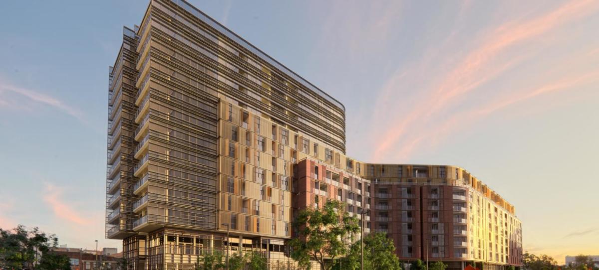 Central Park Wonderland