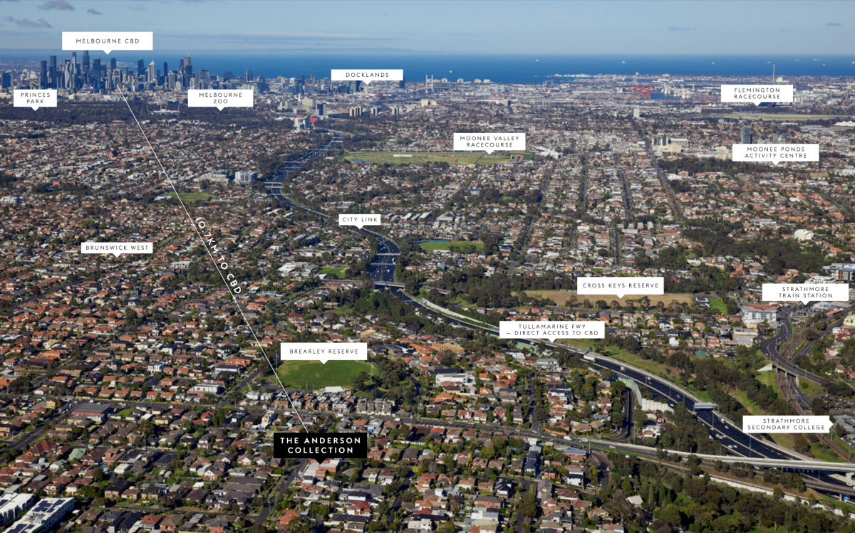 The Anderson Collection The Anderson Collection