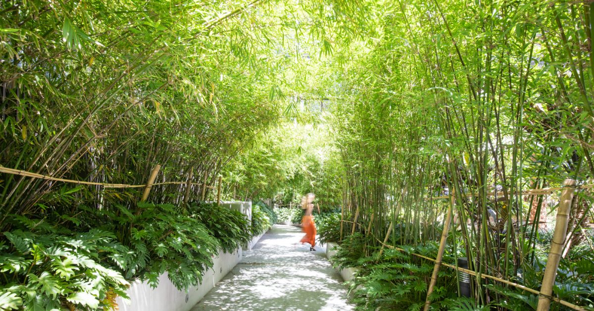 Waterfall by Crown Group