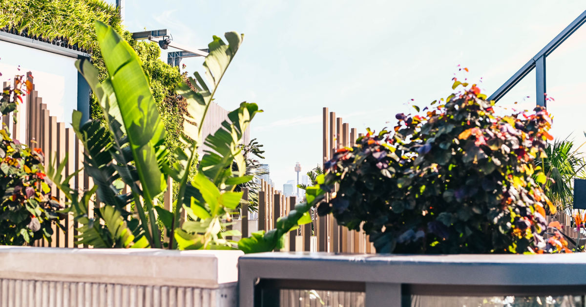 Waterfall by Crown Group