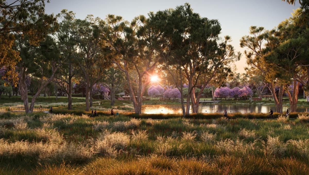 Jacaranda Ponds Jacaranda Ponds