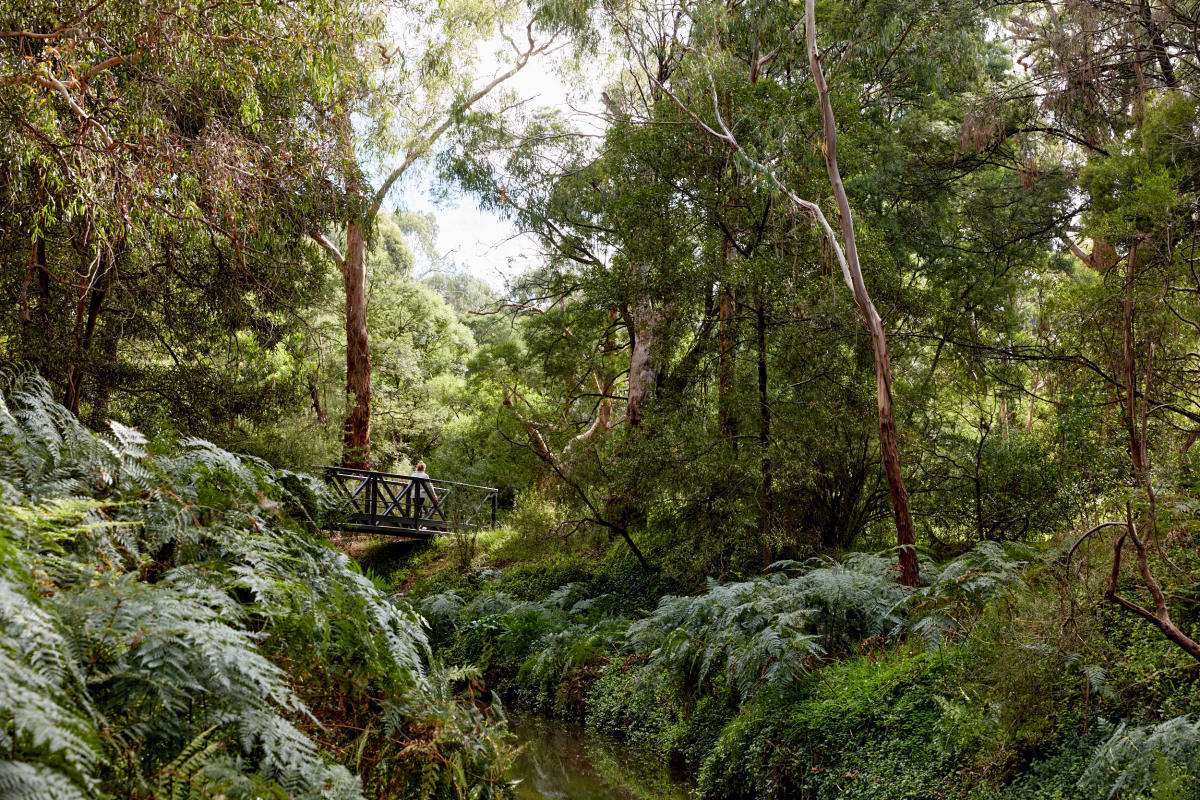 276 Wantirna Road, Wantirna