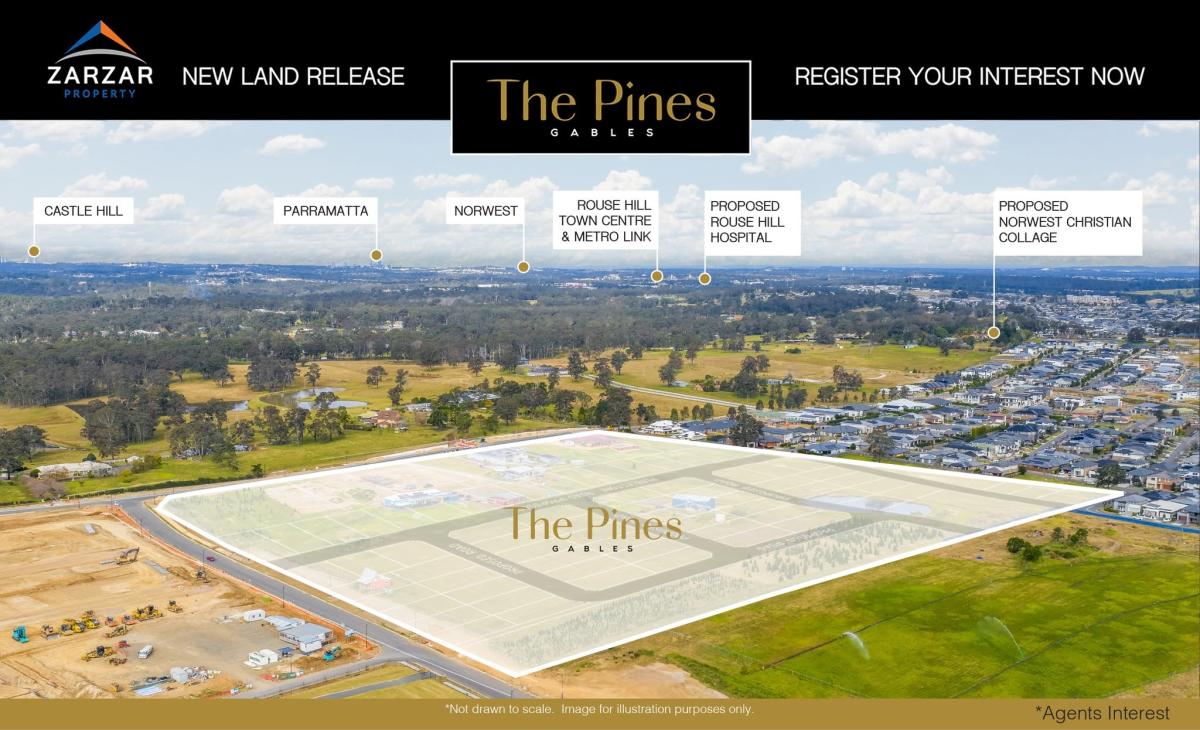 The Pines The Pines