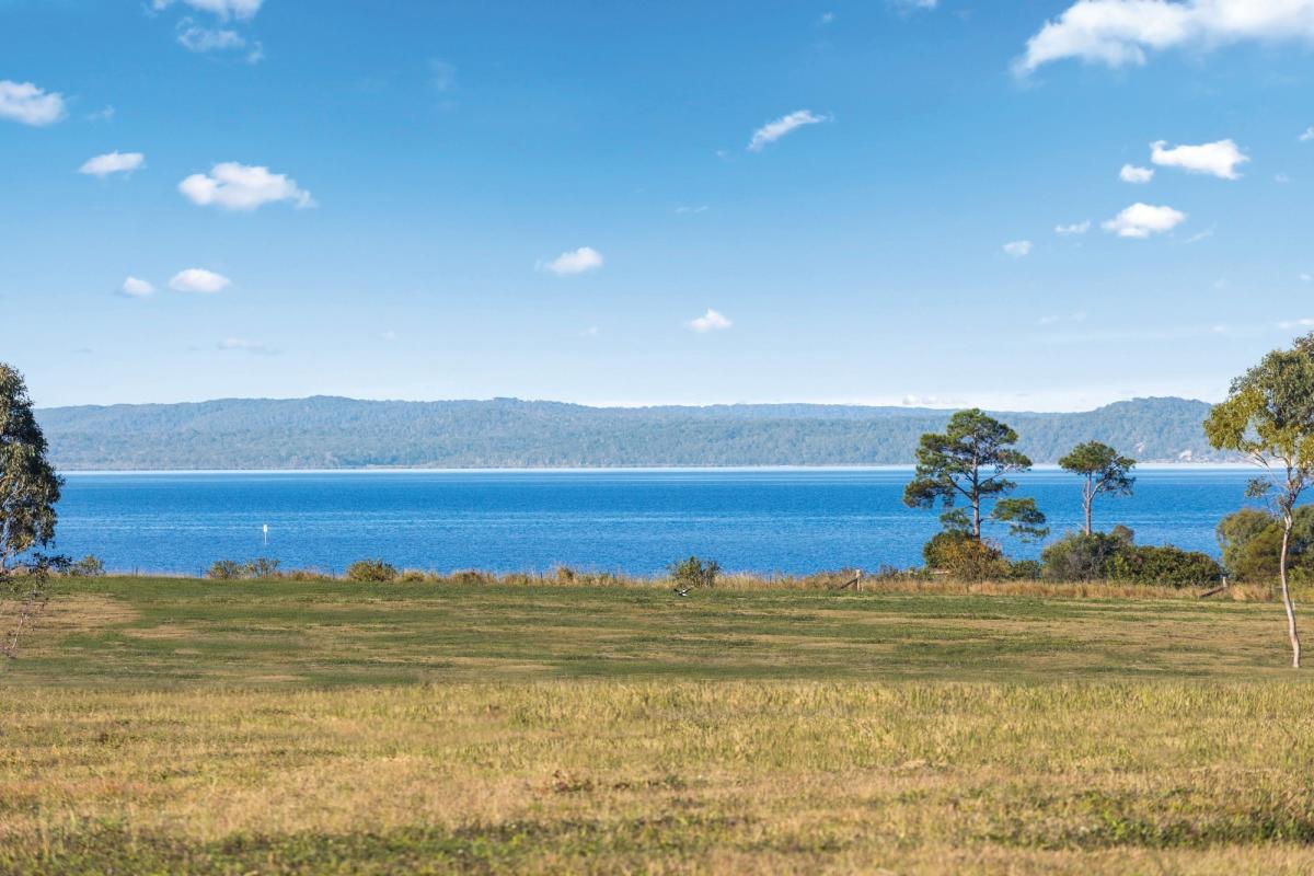 Fraser Vista